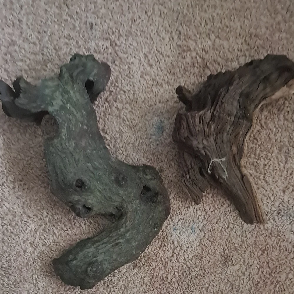 2 Natural Driftwood for Reptile Habitats